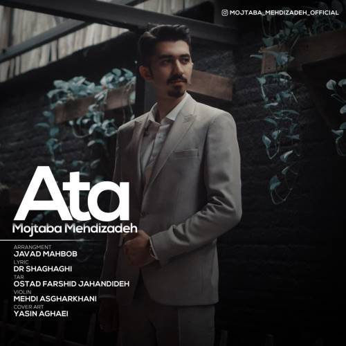 مجتبی مهدی زاده آتا